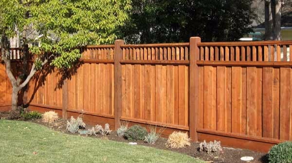 redwood fence