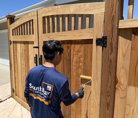 Professional fence staining contractor applying stain to a wood fence.