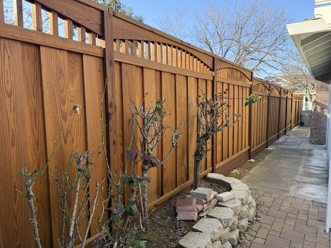Restored side yard wood fence in San Mateo after professional staining and sealing