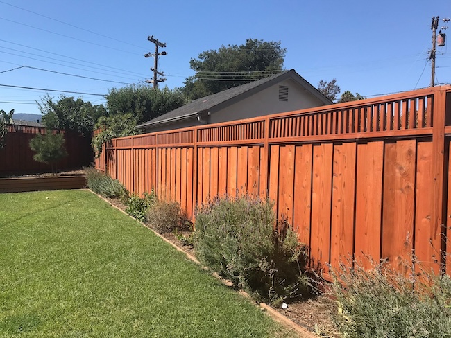 Restored redwood fence in San Jose after professional staining and sealing