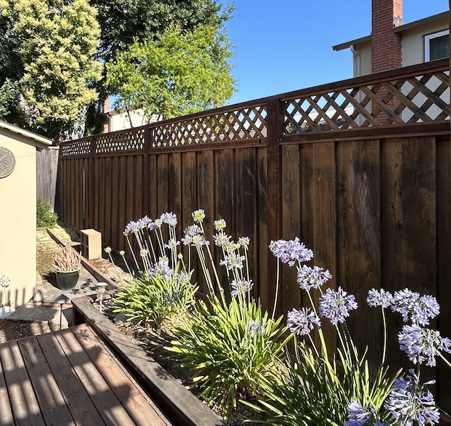 Weathered side yard wood fence in San Mateo before professional refinishing